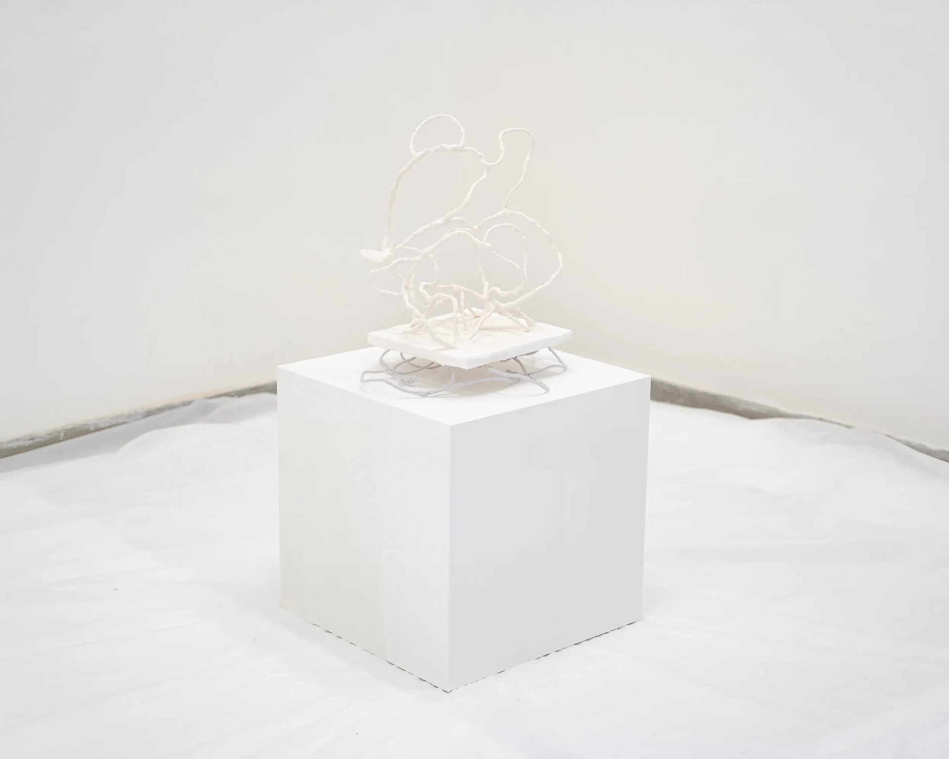 Creatures in Balance, 2023 — full installation view